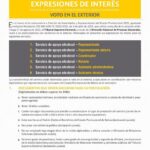Expresiones de Interés | Voto en el Exterior